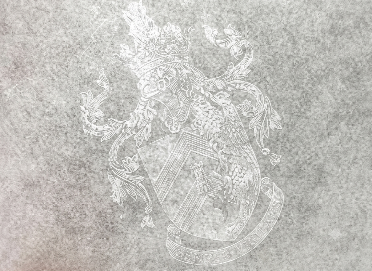 Macro photograph of custom watermark visible when security certificate is held to light